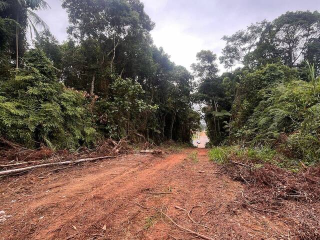 #69 - Terreno para Venda em Timbó - SC - 3