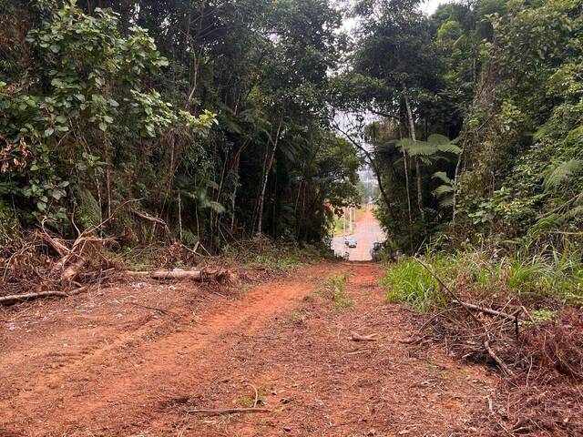 Terreno para Venda em Timbó - 4